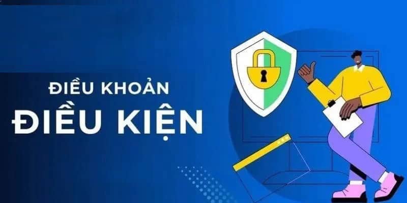 Điều khoản sử dụng trang TDTC chi tiết